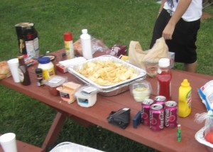 Successful Seva Call Summer BBQ Seva Call