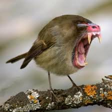 Discretion With Twitter Discretion With Twitter Computer Repair