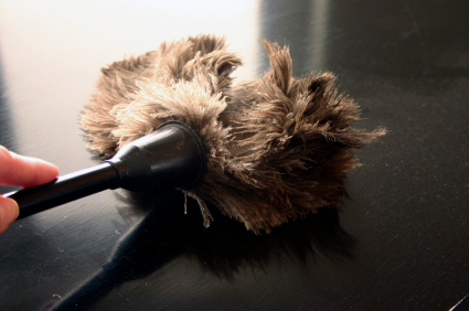 What are the best dusting methods