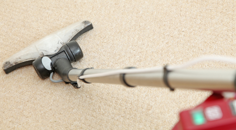 Best Steam Carpet Cleaners Reviews Carpet Cleaners 