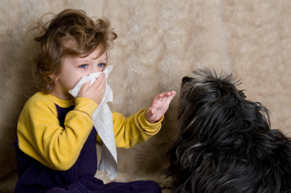 Stop Being Allergic to Dogs Veterinarians 
