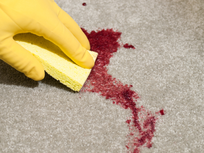 Best Eco-Friendly Carpet Cleaners
