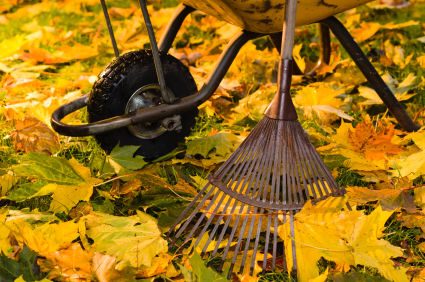 Why You Should Relax after Raking the Lawn and How to Do It