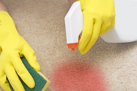 How to Remove Blood Stains on Carpet