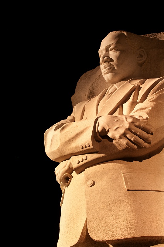 Remembering Martin Luther King Jr. Remembering Martin Luther King Jr. - Seva Call