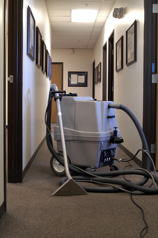 Deep Carpet Cleaning with a Steam Cleaner - Carpet Cleaners