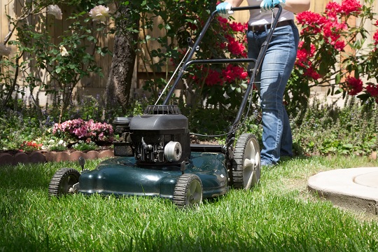 How Soon After Fertilizing Can I Mow Lawn?