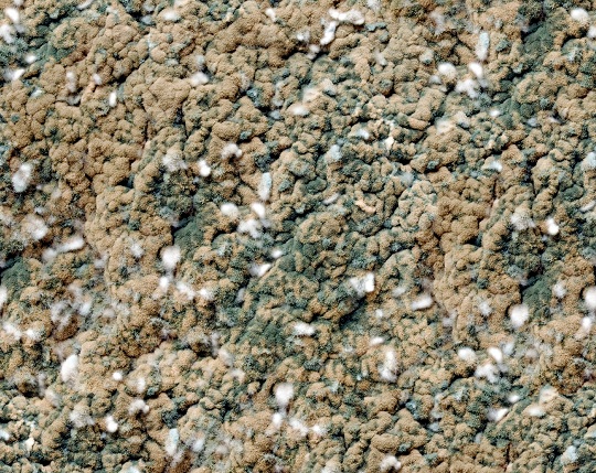 How to Remove Mold from Carpet