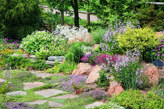 How to Thin Shrubs - Landscapers