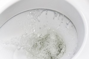 Toilets That Use Less Water - Plumbers