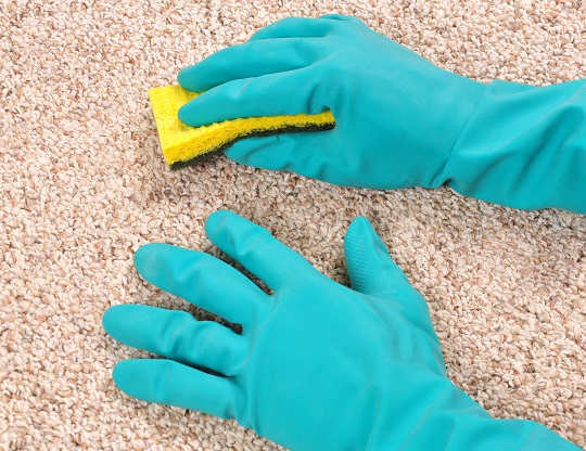 How to Clean Up Vomit on Carpet