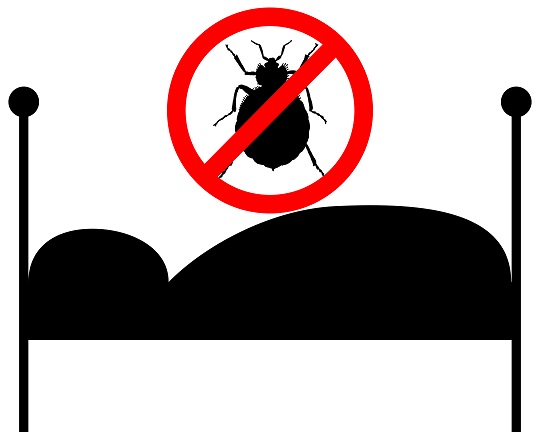Home Remedies for Bed Bugs