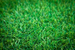 How To Install An Artificial Turf - Landscapers