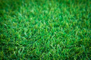How To Install An Artificial Turf - Landscapers