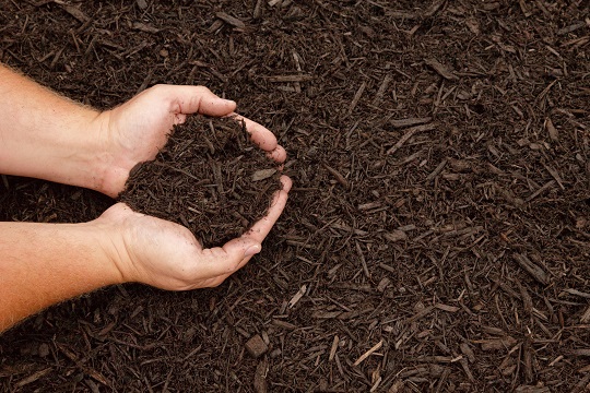 How to Mulch Your Lawn - Landscapers