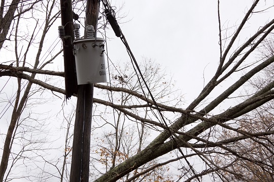 How to Report Downed Power Lines