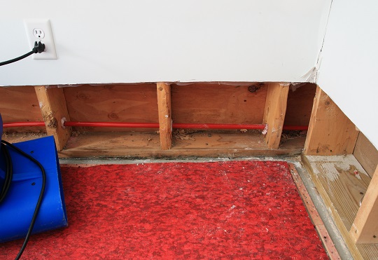Fix Water Damaged Carpet - Carpet Cleaners