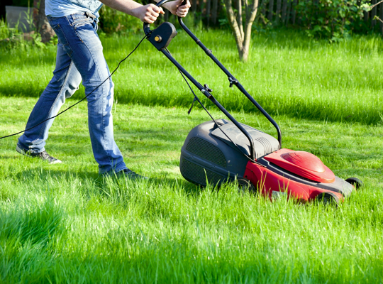 Cost Of A Push Mower - Landscapers