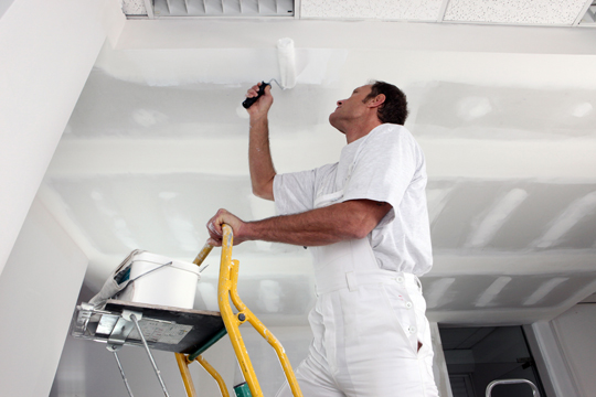 Installing Drywall Ceiling - Painters