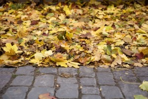 Fastest Ways To Clean Up Leaves - Landscapers