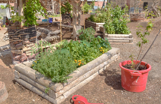 Why Use A Raised Garden?