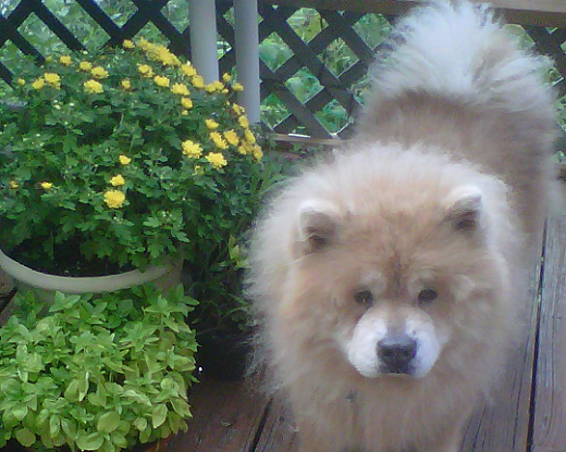 28 (Mis)Adventures: House Sitting Doesn’t Involve That Much Sitting