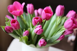 How to Keep Flowers Fresh with Sugar Water sm