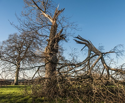 5 More “Oh Sh!t” Moments Where TalkLocal Can Help