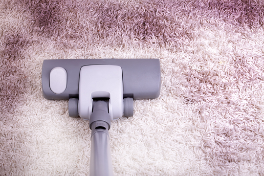 How to Clean Wool Carpet - Carpet Cleaners