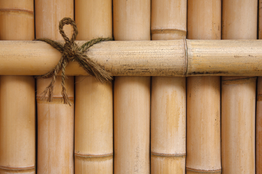 How to Install Bamboo Fencing Rolls - Landscapers
