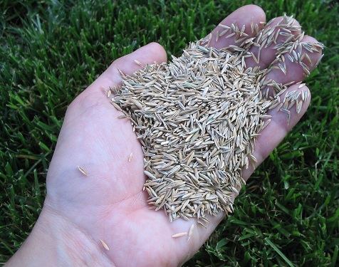 Miracle Grow Plant Food