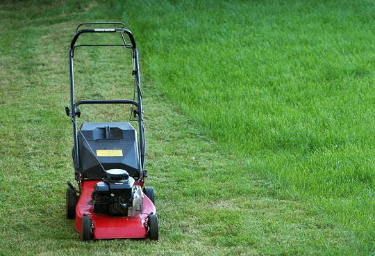 Buying a John Deere Lawn Mower