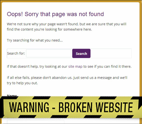 local pros broken websites