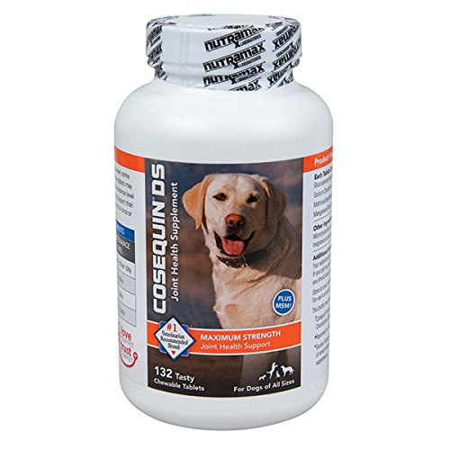 Cosequin DS dog pain medicine