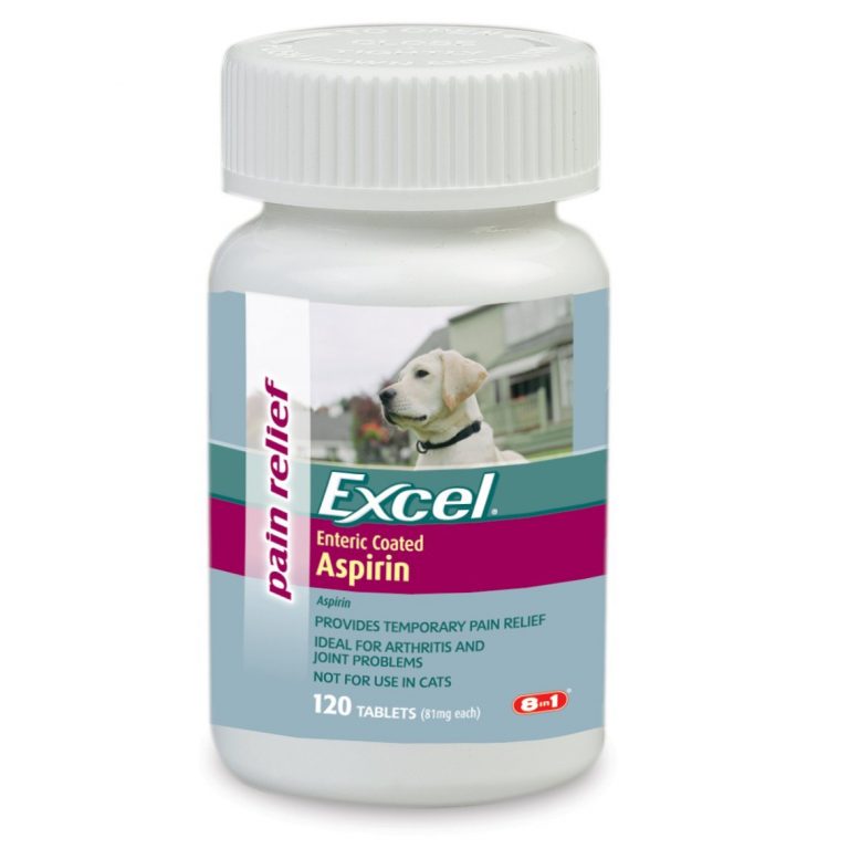 Top 10 Pain Medications for Dogs Veterinarians Talk Local Blog