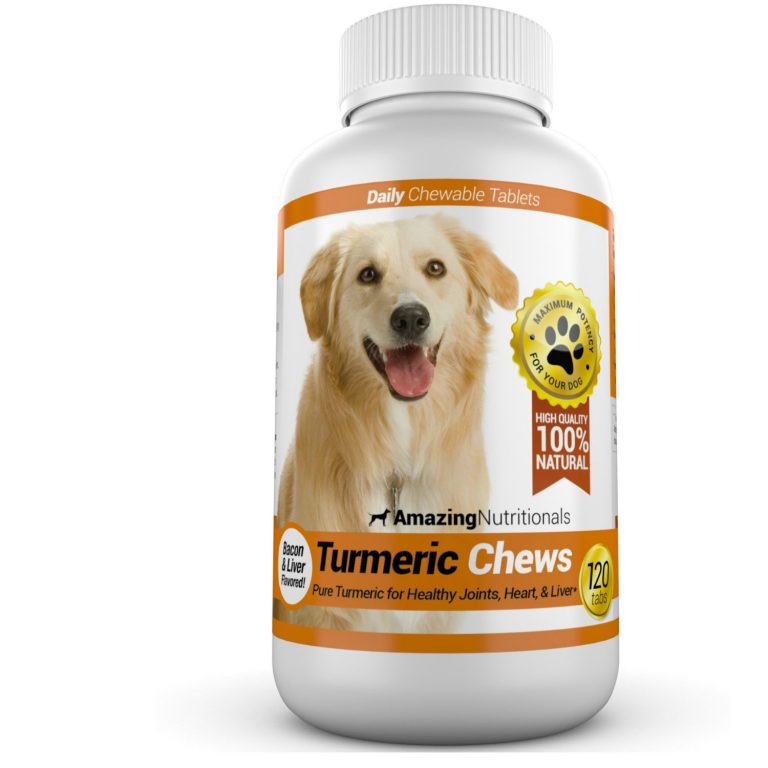 Top 10 Pain Medications for Dogs Veterinarians Talk Local Blog